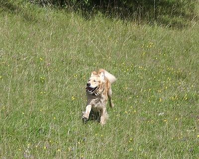 Bild_01 