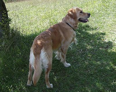 Bild_03 