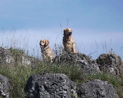 Bild_04 