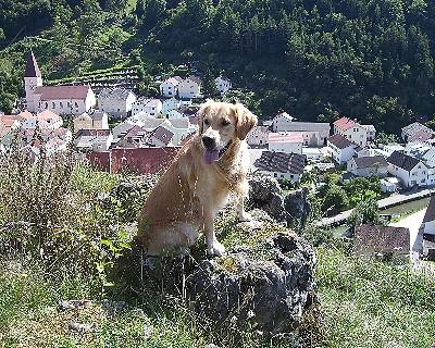 Bild_05 