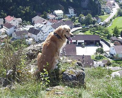 Bild_06 