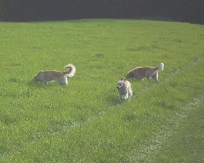 Bild_08 
