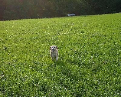 Bild_09 