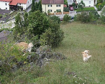 Bild_10 