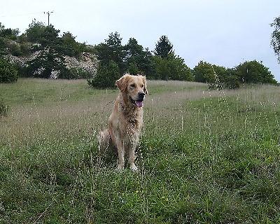 Bild_11 