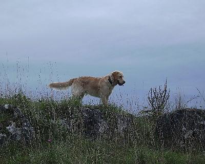 Bild_12 