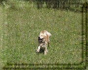 Bild_01 