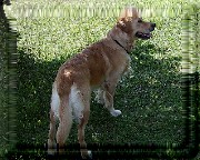 Bild_03 