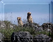 Bild_04
