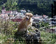 Bild_05 