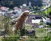 Bild_06 