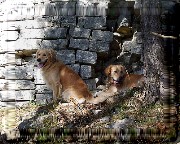 Bild_07 
