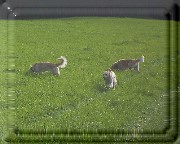 Bild_08 