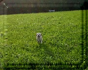 Bild_09 