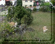 Bild_10 
