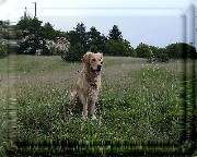 Bild_11 