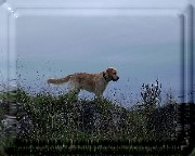 Bild_12 