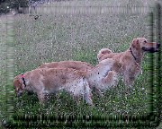 Bild_14 
