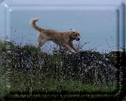 Bild_15 