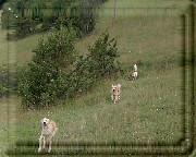 Bild_16 