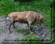 Bild_17 