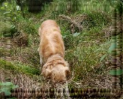 Bild_18 