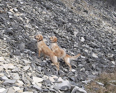 Bild_01 