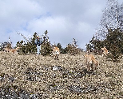 Bild_03 