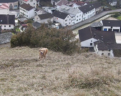 Bild_04 