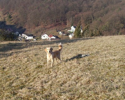 Bild_05 