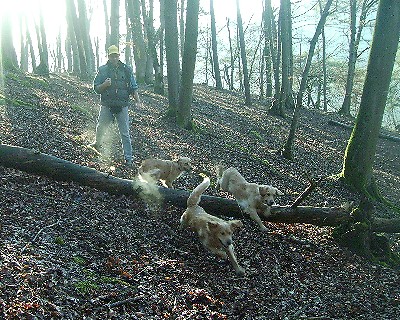 Bild_06 