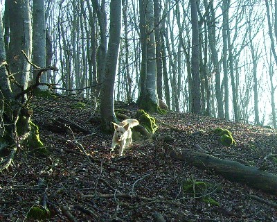 Bild_07 
