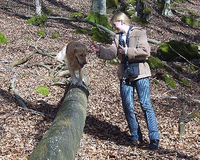 Bild_09 