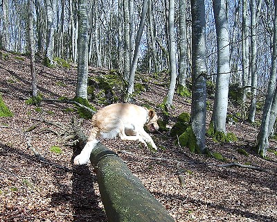 Bild_10 