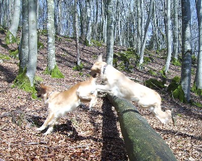 Bild_11 