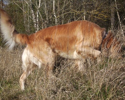 Bild_13 