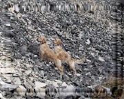 Bild_01 