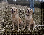 Bild_02 