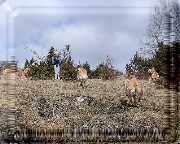 Bild_03 