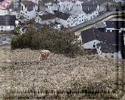 Bild_04