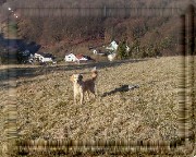 Bild_05 
