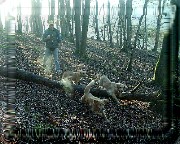 Bild_06 