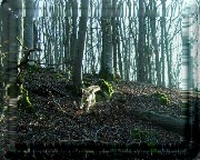 Bild_07 