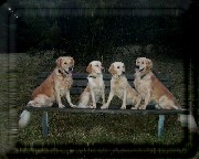 Bild_08 