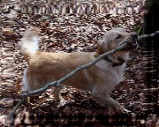 Bild_12 