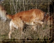 Bild_13 