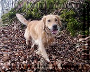Bild_15 