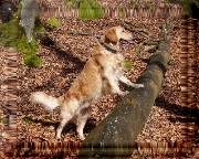 Bild_16 