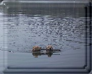 Bild_01 