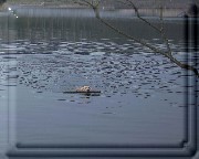Bild_02 